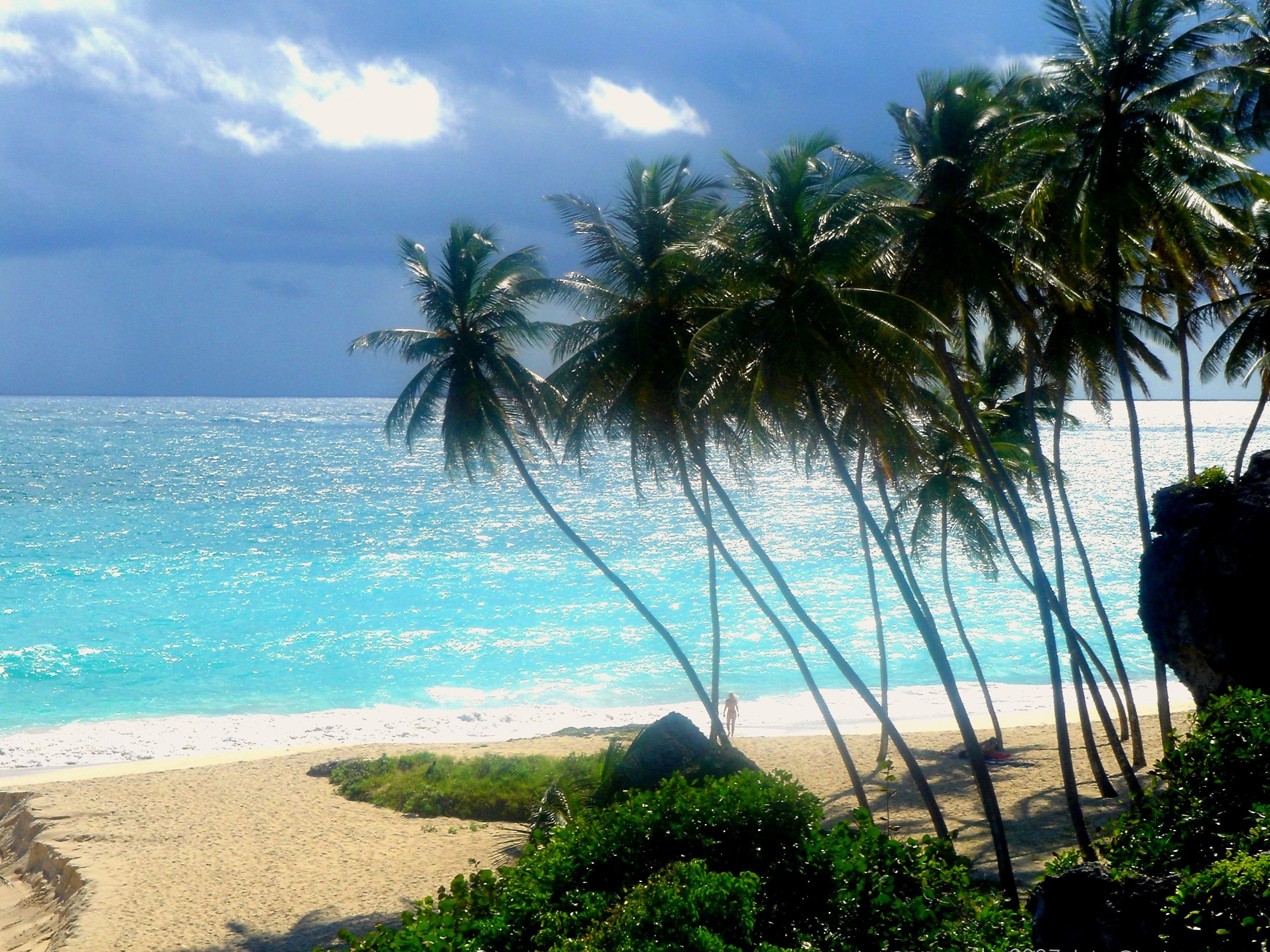 Palms and turquoise water at Bottom Bay in Barbados