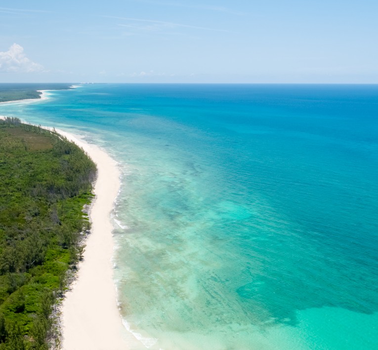 Wild pale-sand coastline and turquoise water on Grand Bahama
