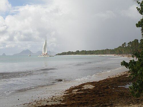 Grande Anse des Salines in Salines Martinique