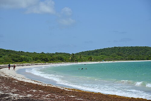 La Chiva & Caracas · Vieques in Puerto Rico