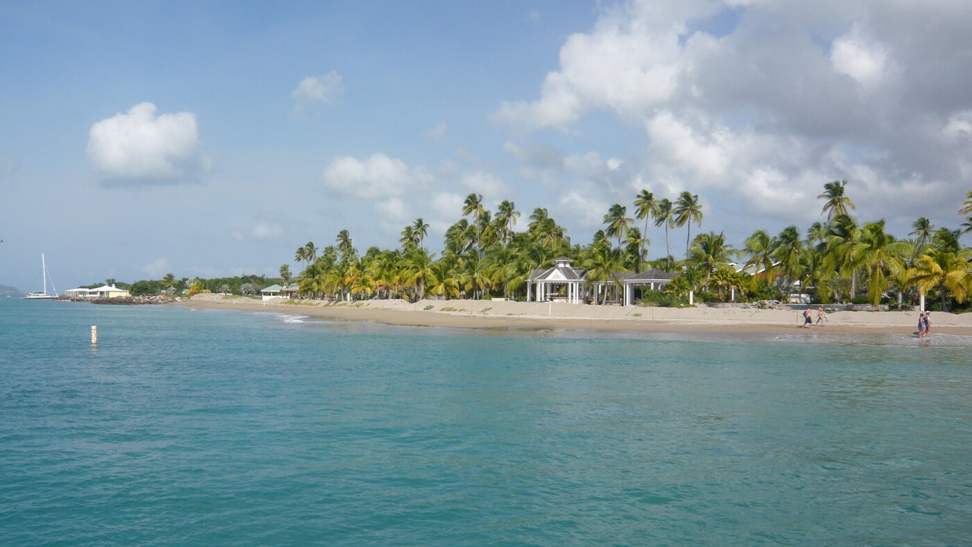 The calm Caribbean shoreline and palms at Pinney’s Beach on Nevis