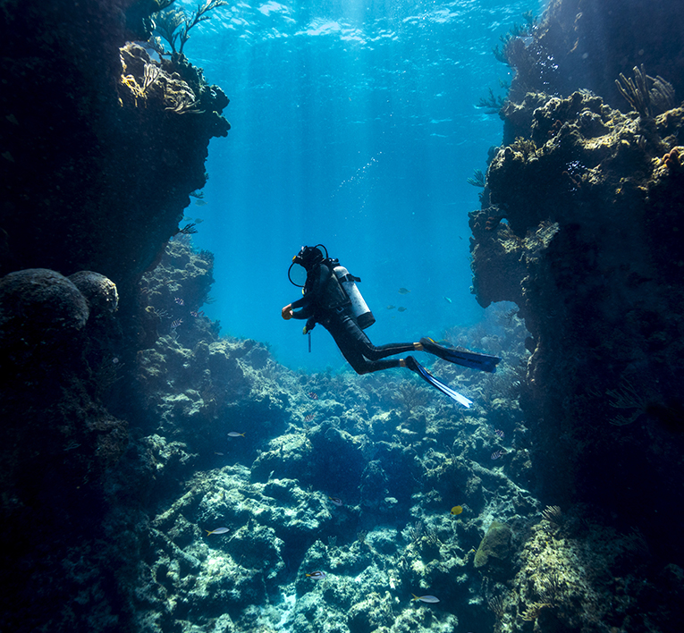 Scuba diver passing through a coral formation in the Abacos